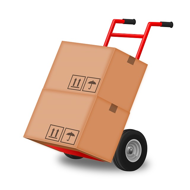 Furniture Moving: Do's and Don'ts