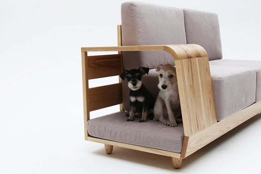Pets and Furniture